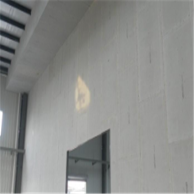 含山宁波ALC板|EPS加气板隔墙与混凝土整浇联接的实验研讨